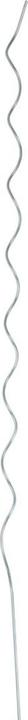 Produktbild Floraworld Tomatenspiralstab 150 cm Ø 6,8 mm verzinkt (150 cm)