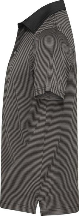 Produktbild Cutter & Buck Virtue Polo Stripes Men (L)