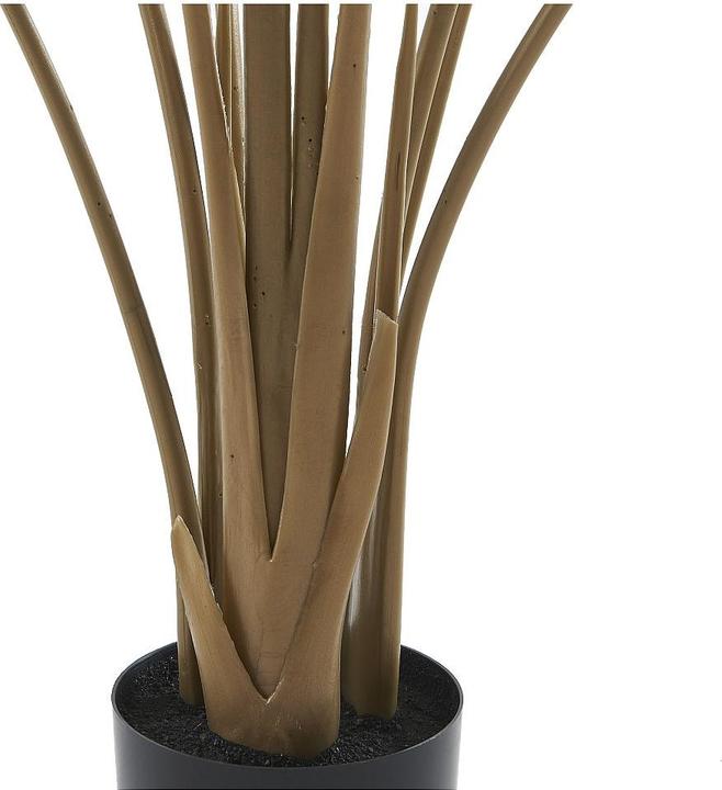 Immagine prodotto Ozaia Nendaz (160 cm)