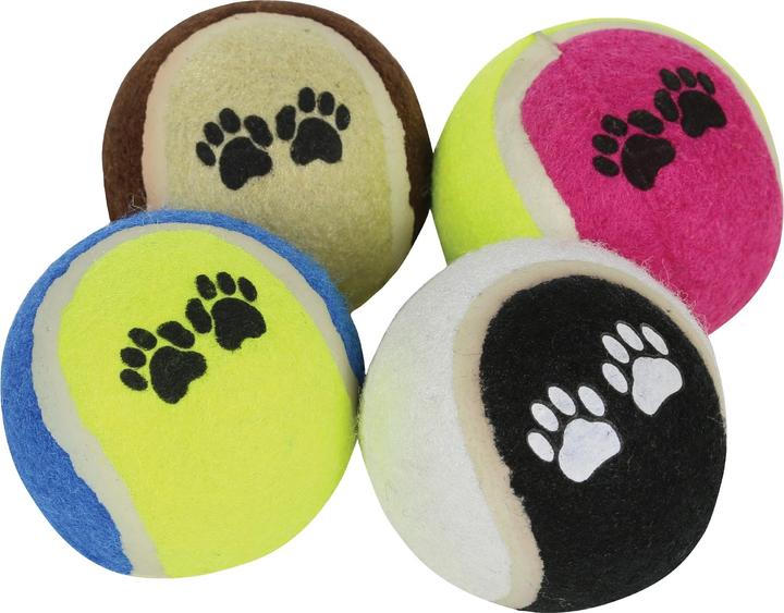 Produktbild Regatta Hundeball (Ballspielzeug Hund)