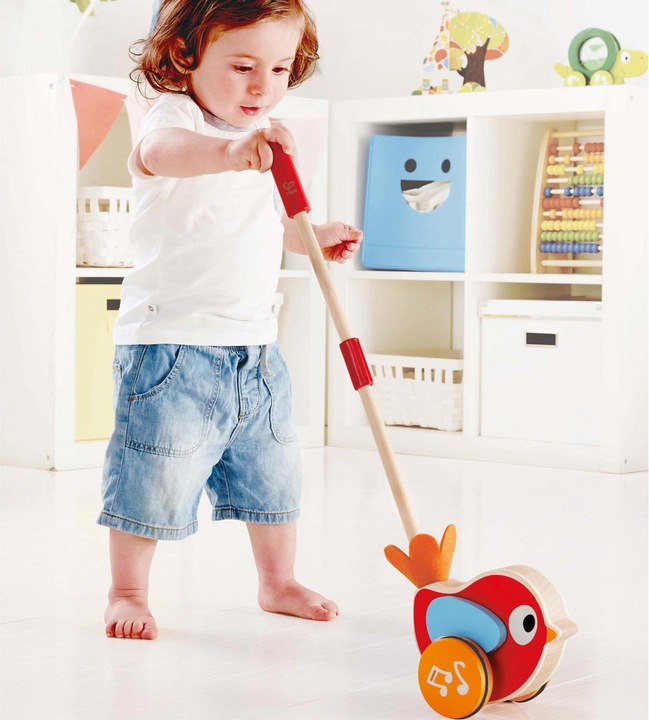 Image du produit Hape Pusher Lilly