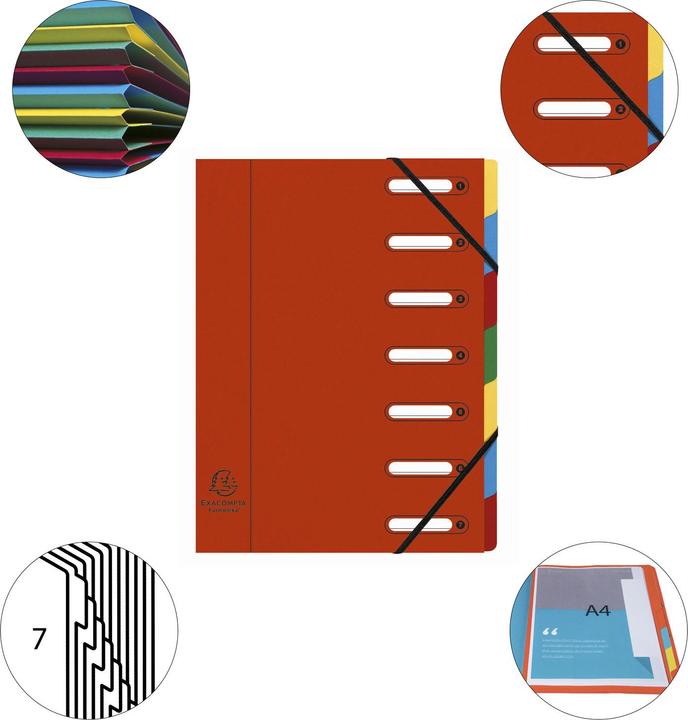 Actual product image Exacompta HARMONIKA - A4 file folders (A4, 1x)