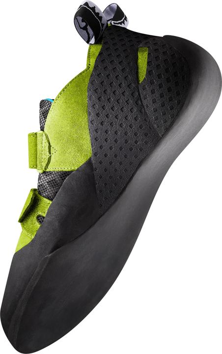 Actual product image Red Chili Circuit II (40.5)