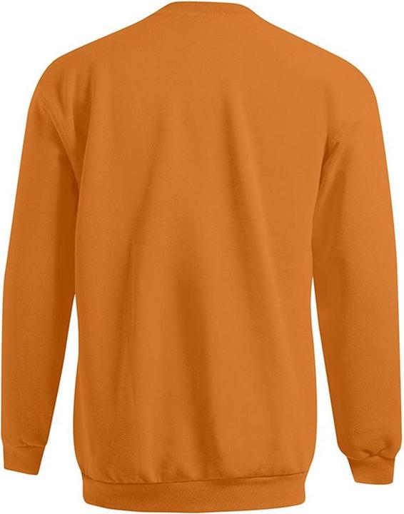 Produktbild Promodoro New Sweatshirt (L)