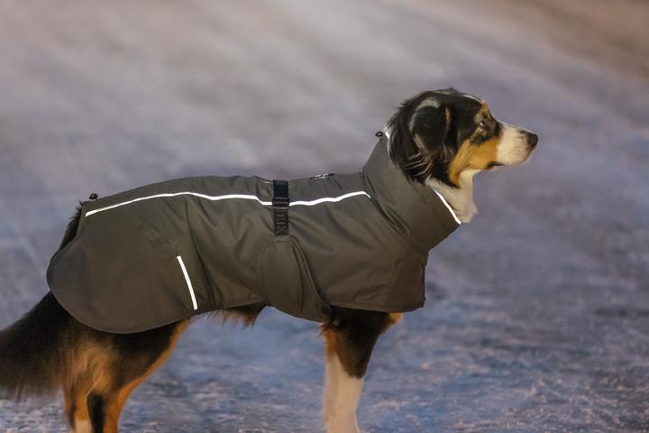 Produktbild Trixie Hondenjas Limoux Steengrijs - 70 Cm (XL, Hundemantel)