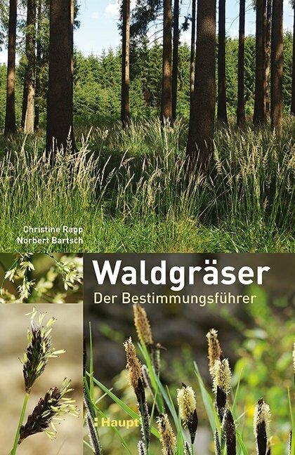 Actual product image Waldgräser (German, Christine Rapp, 2016)