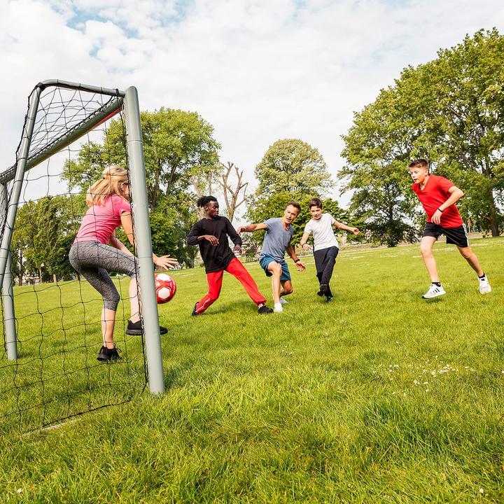 Actual product image Hudora Football goal Expert 300