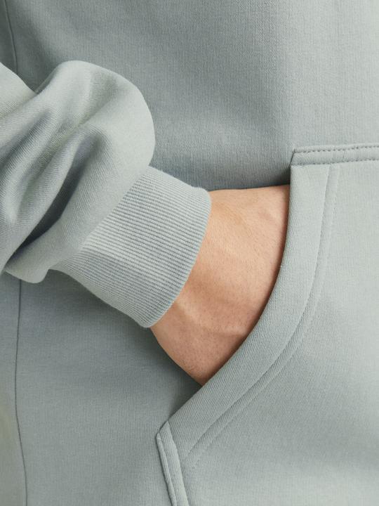 Image du produit Jack & Jones Jjebradley Sweat Hood Noos (XXL)
