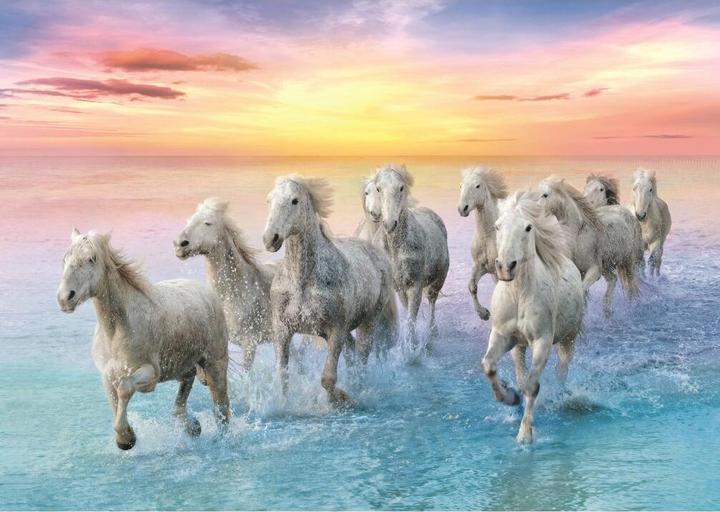 Image du produit Trefl Puzzle 500 pièces Chevaux en gallopant (500 pièces)