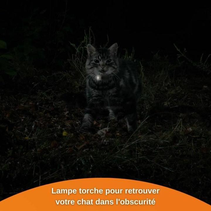 Immagine prodotto Weenect GPS-Tracker (XS, Gatto, Generale)