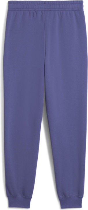 Actual product image Puma ESS 2 COLOR No. 1 Logo Sweatpants FL B (128)