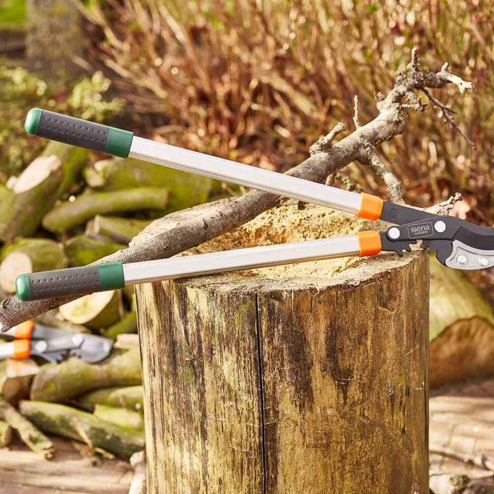 Actual product image Siena Garden pruning shears