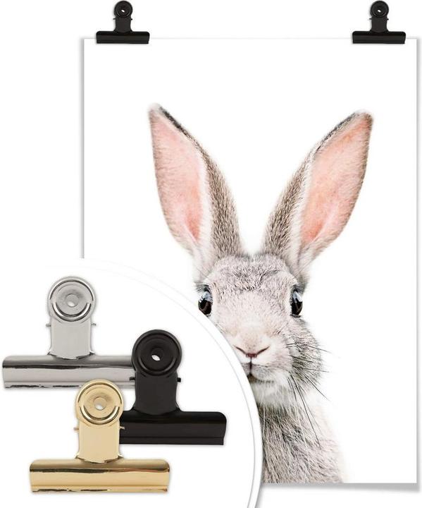 Produktbild Trenddeko Hasenohren