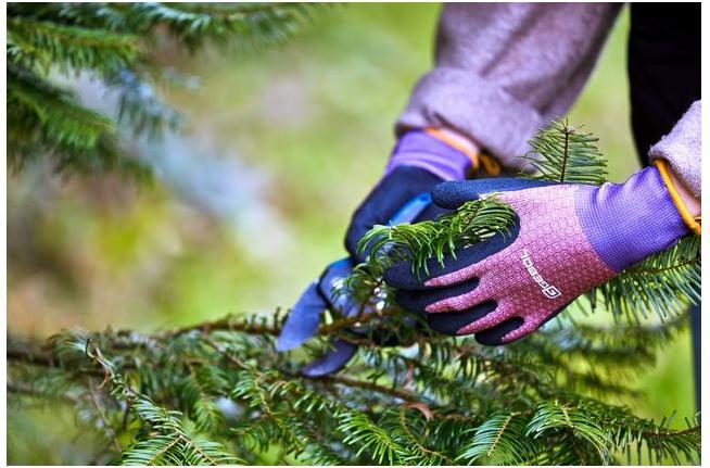 Produktbild Gebol Gartenhandschuh Tilia 7 (7)