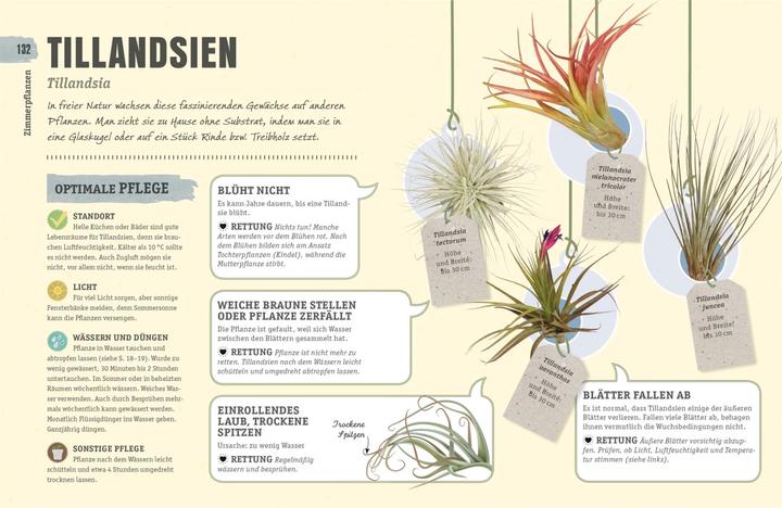 Produktbild So überleben Zimmerpflanzen garantiert (Deutsch, Veronica Peerless, 2018)