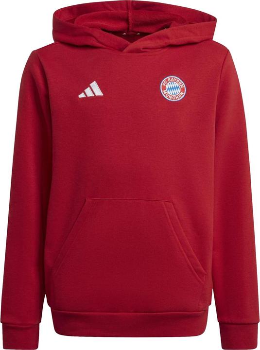 Produktbild FC Bayern München Kapuzenpullover (146)