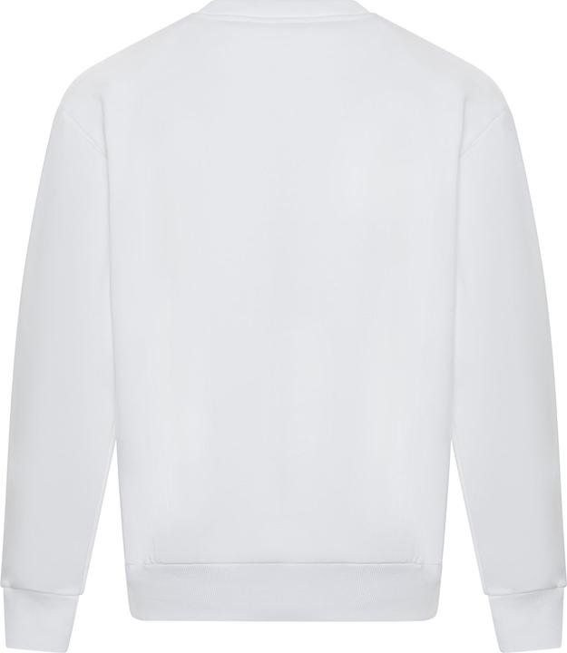 Arctic White