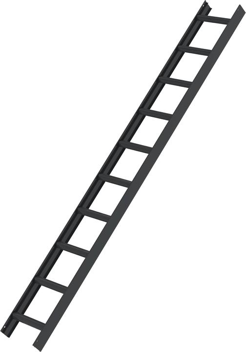 Image du produit Munk Échelle de toit gris anthracite 10nombre de barreaux (280 cm)