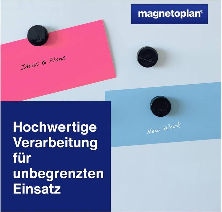 Image du produit Magnetoplan Aimant Ergo (1 x)