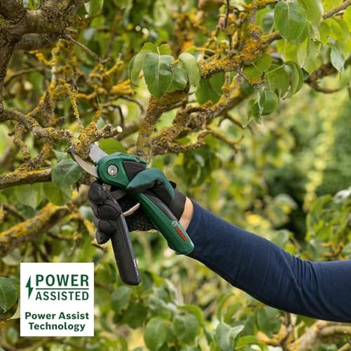 Immagine prodotto Bosch Home & Garden EasyPrune