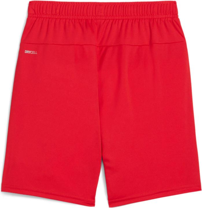 Immagine prodotto Puma Pantaloncini TeamGOAL Jr (140)