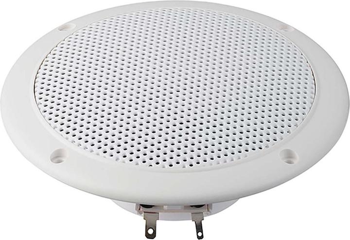 Actual product image Visaton Full range loudspeaker FR 13 WP
