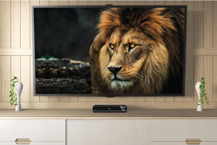 Produktbild Telestar digiHD TS 13 (5000 GB, DVB-S, DVB-S2)