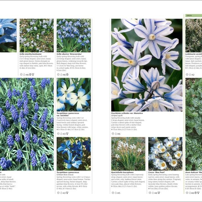 Immagine prodotto RHS Encyclopedia Of Plants And Flowers (Inglese, Christopher Brickell, 2019)