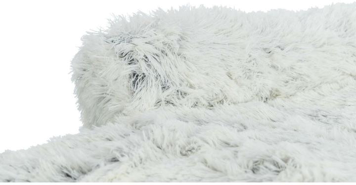 Image du produit Trixie Harvey (Chien)