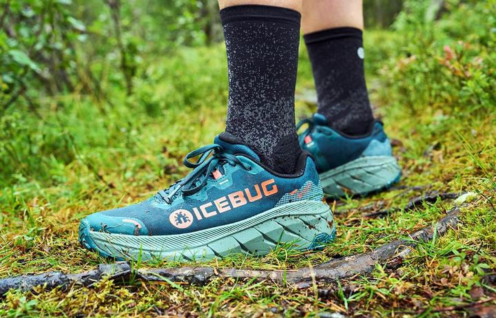 Actual product image Icebug Arcus 2 RB9X GTX (38)