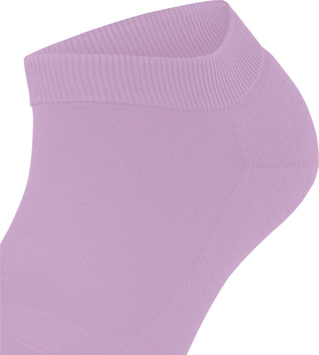 Image du produit Falke ClimaWool Femmes (41 - 42)