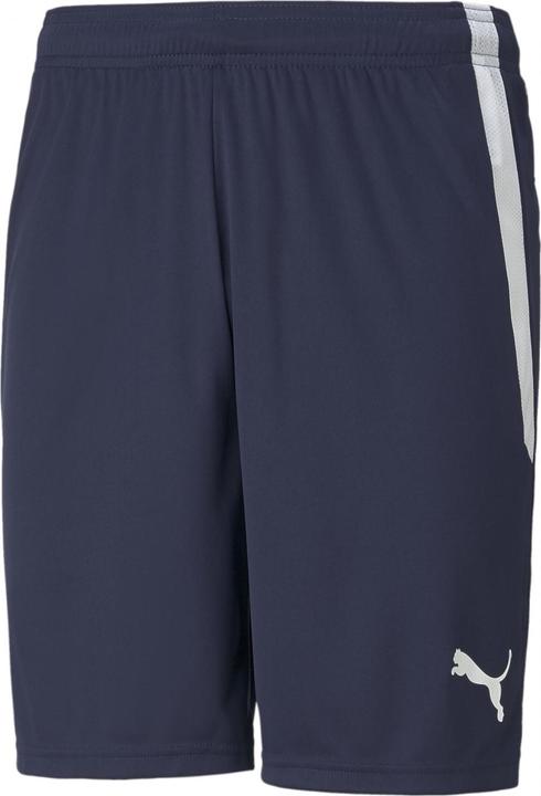 Image du produit Puma Short teamLIGA-704924 (L)