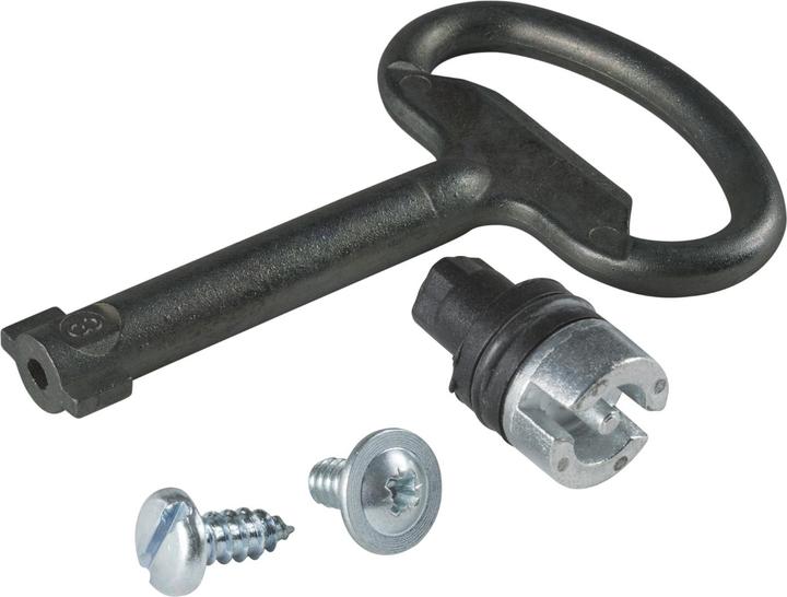 Actual product image Schneider Electric Doppelbartschloss