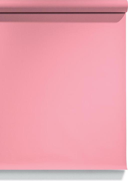 17 Carnation Pink