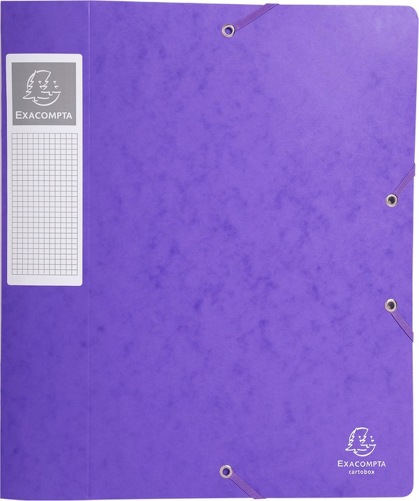 Actual product image Exacompta Archive boxes (A4)