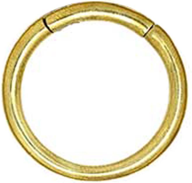 Produktbild Star Piercing Ohrgewicht Segmentring klappbar vergoldet (Messing)