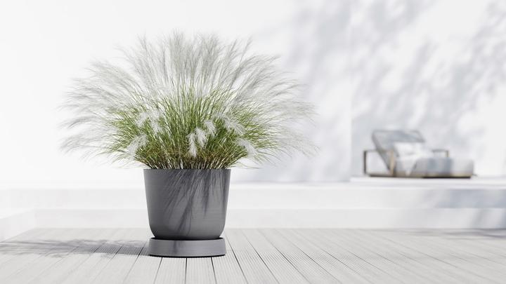 Image du produit Ecopots Saucer Wheels Oslo