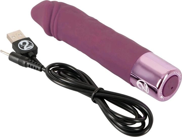 Produktbild You2Toys Realistic Vibe