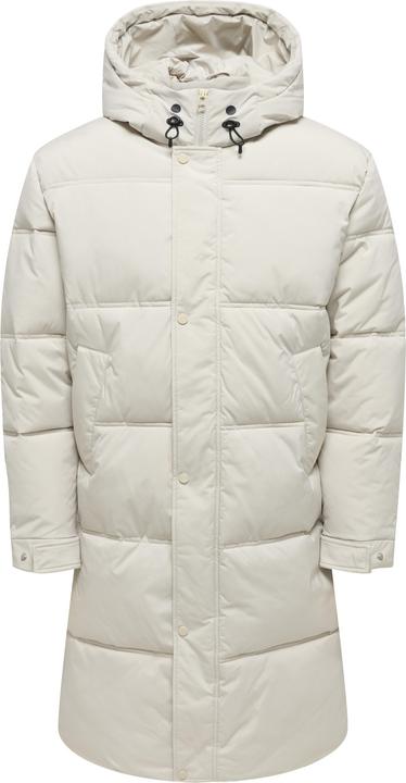 Rivestimento in argento