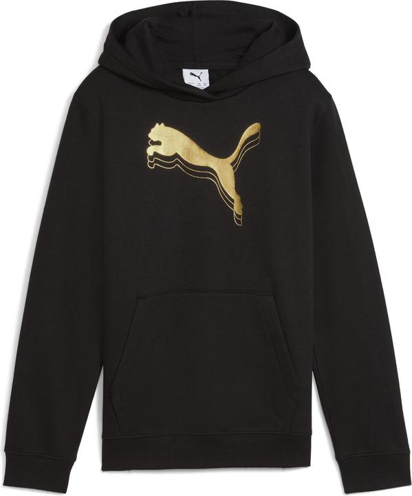 Puma ESS METALLIC Hoodie FL G