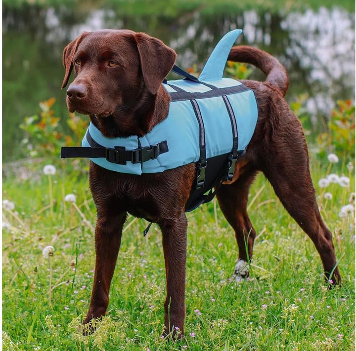 Image du produit Nobby Sharki (M, Gilet de sauvetage pour chien)
