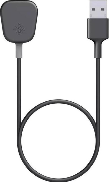 Immagine prodotto Fitbit Cavo di ricarica USB per Charge 4
