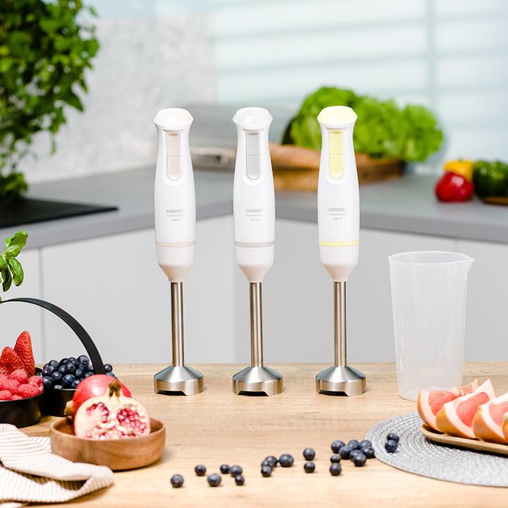 Actual product image Zelmer ZHB4561L Pulsar Deluxe