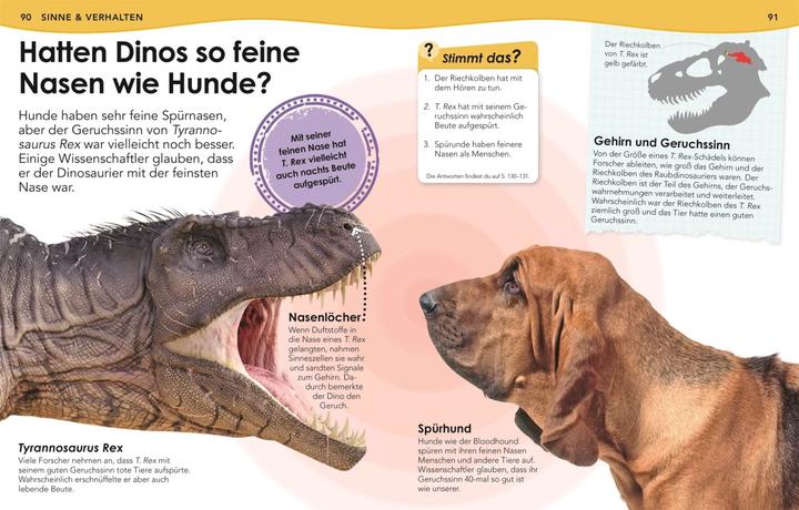 Produktbild Weshalb? Deshalb! Dinos (Deutsch, Nicholas St Fleur, 2020)