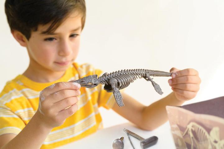 Image du produit 4M Kit d'excavation Mosasaurus