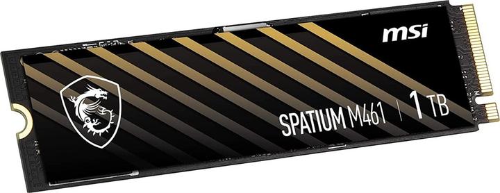 Actual product image MSI Spatium M461 (1000 GB, M.2)