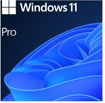 Productafbeelding Microsoft Windows 11 Pro (EN) (1 Gebruiker, onbeperkt)