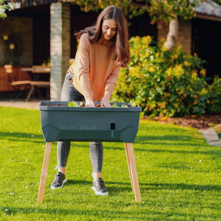 Immagine prodotto Gusta Garden Insalata Sammy