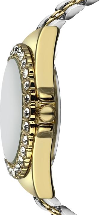 Immagine prodotto Clare Moss Classic Mesh (36 mm)