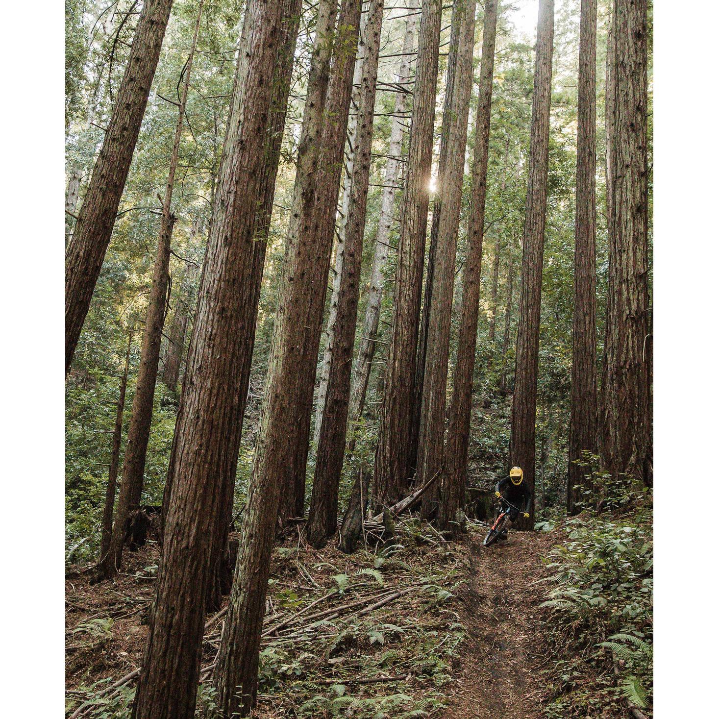 Thumbnail - Poc, Protektoren, (XS, Brustprotektor, Einzelstück)